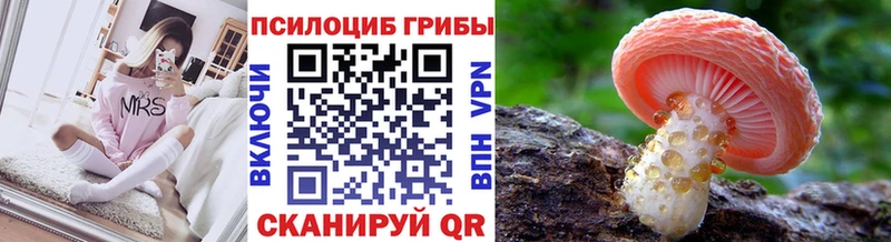 Псилоцибиновые грибы Psilocybine cubensis  Лодейное Поле 
